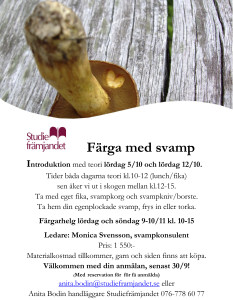 Svampfärgningskurs