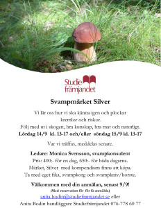 Microsoft Word - svamp3 svampmärket Silver.docx