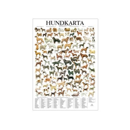 Hundkarta