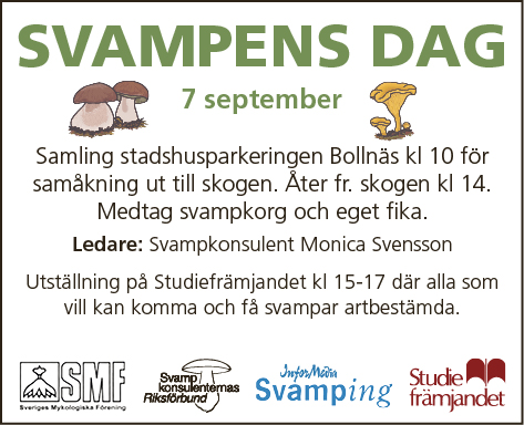 Svampens dag 2014, Bollnäs-Nytt