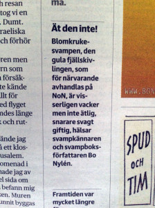 Bo Nyhléns inlägg på DN