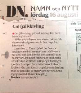 DN Namn och Nytt 2014-08-16