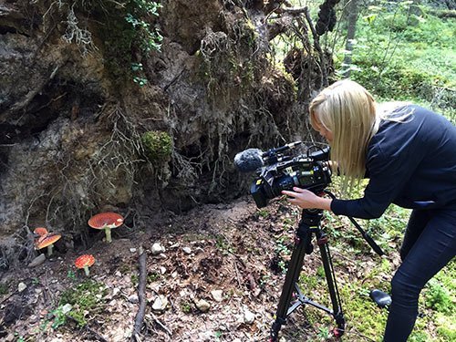 Flugsvampar, SVT i svampskogen