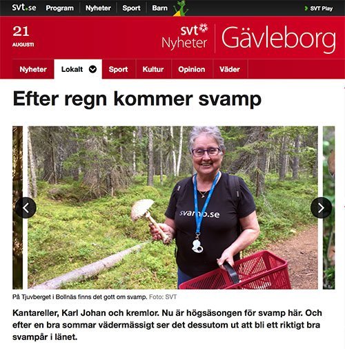 Med SVT i svampskogen Bollnäs Hälsingland Monica Svensson svampkonsulent