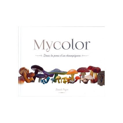 Mycolor, omslagets första sida