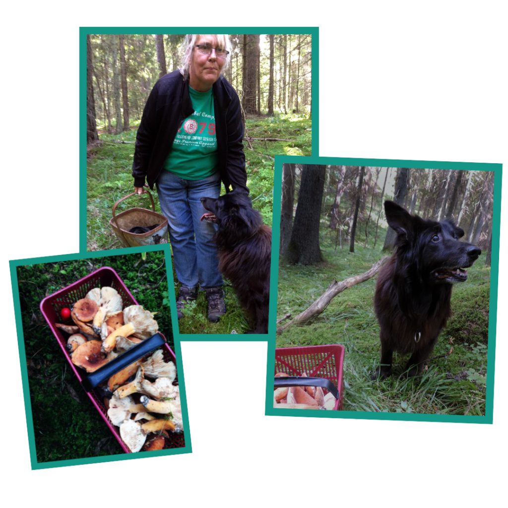 Helena Andersson delar med sig av tips för att spåra svamp med hund