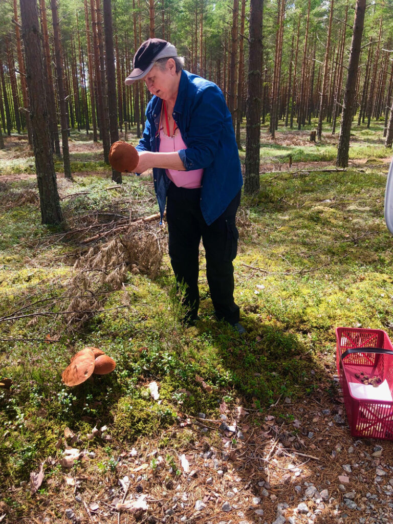 svampplockare i skogen